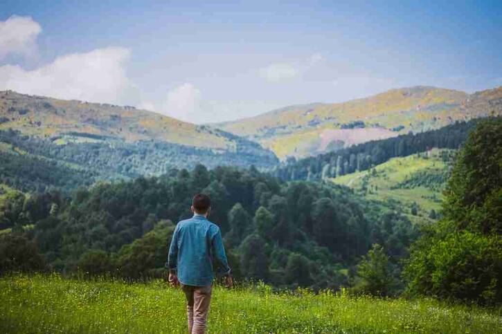 什么减肥效果好 吃什么减肥最好