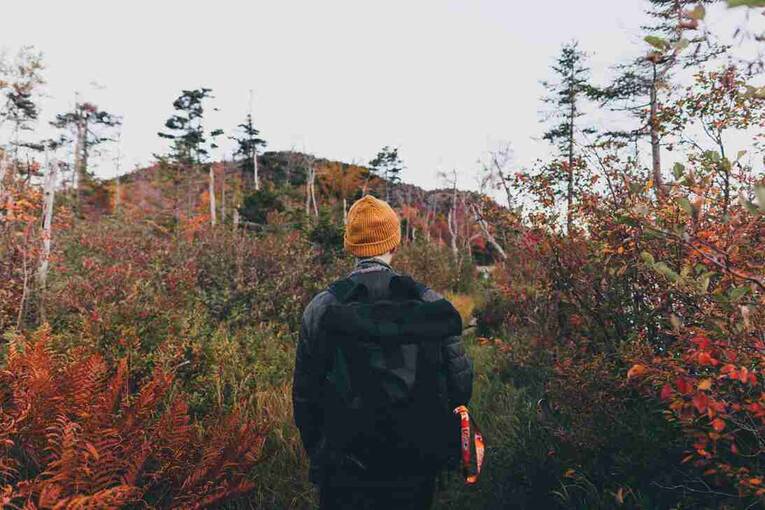 人体体温多少正常 多少度体温算正常人体体温多少算正常