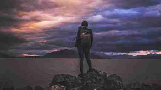 侧柏叶功效与作用，侧柏炭的功效与作用